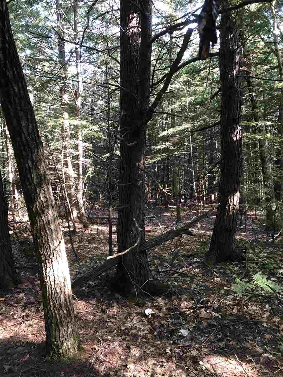 364 Stage Road Nottingham, NH 03290 - Photo 22 of 27