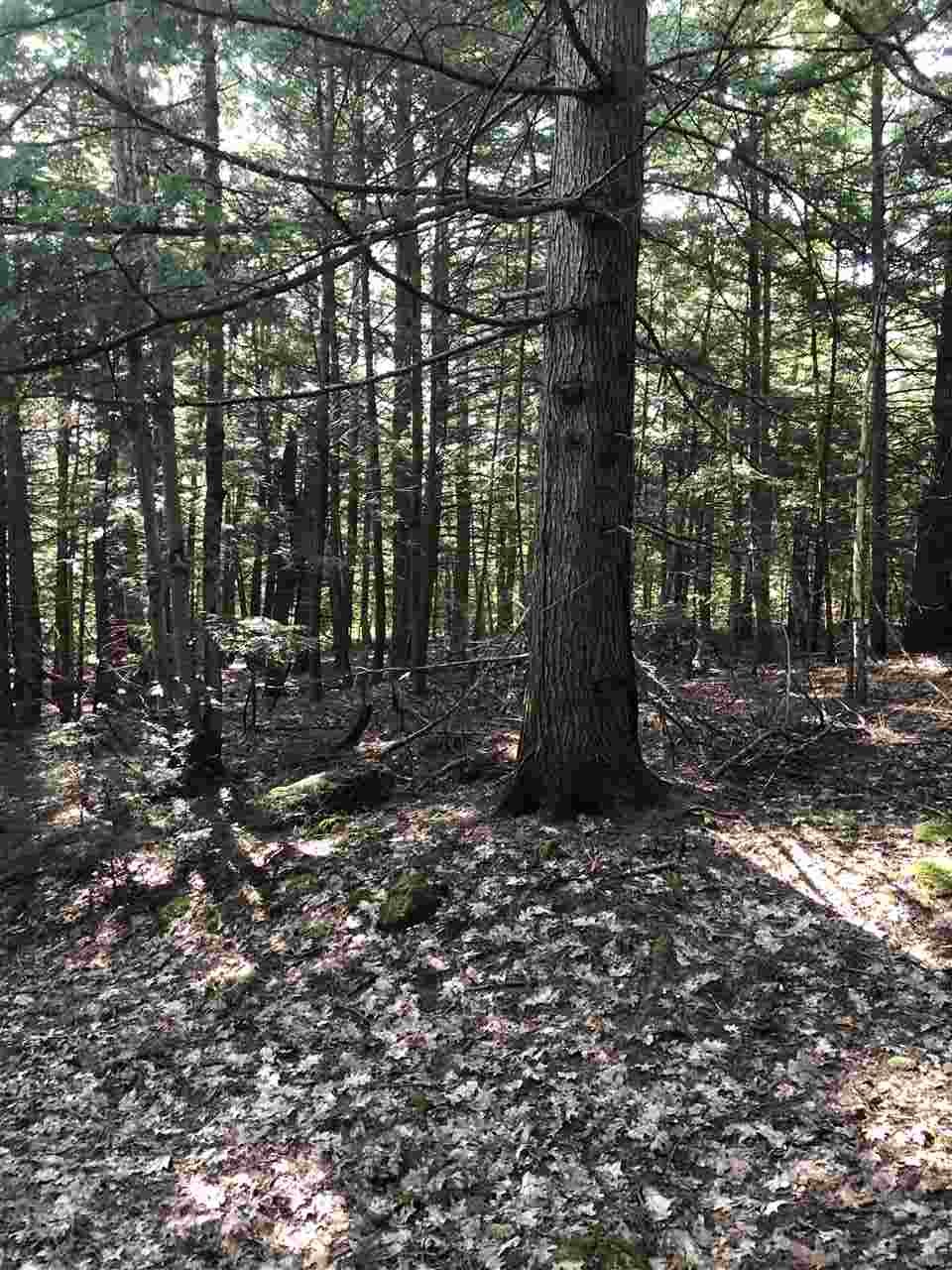 364 Stage Road Nottingham, NH 03290 - Photo 26 of 27