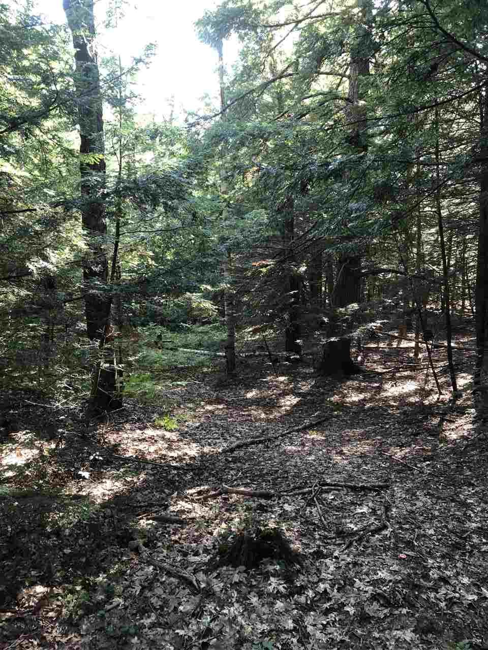 364 Stage Road Nottingham, NH 03290 - Photo 27 of 27