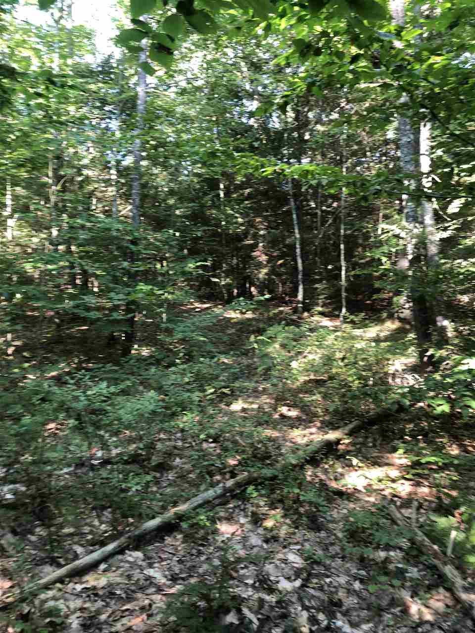 364 Stage Road Nottingham, NH 03290 - Photo 8 of 27