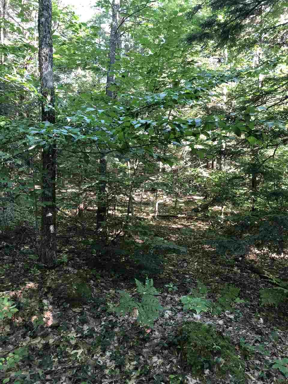 364 Stage Road Nottingham, NH 03290 - Photo 9 of 27