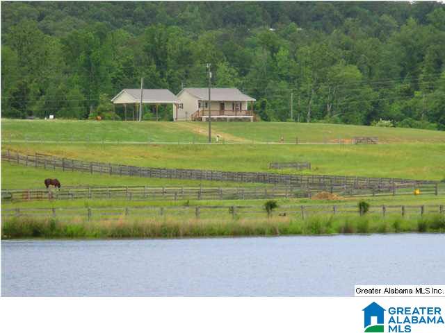 169 Eagle Cove Road Ohatchee, AL 36271 - Photo 11 of 32