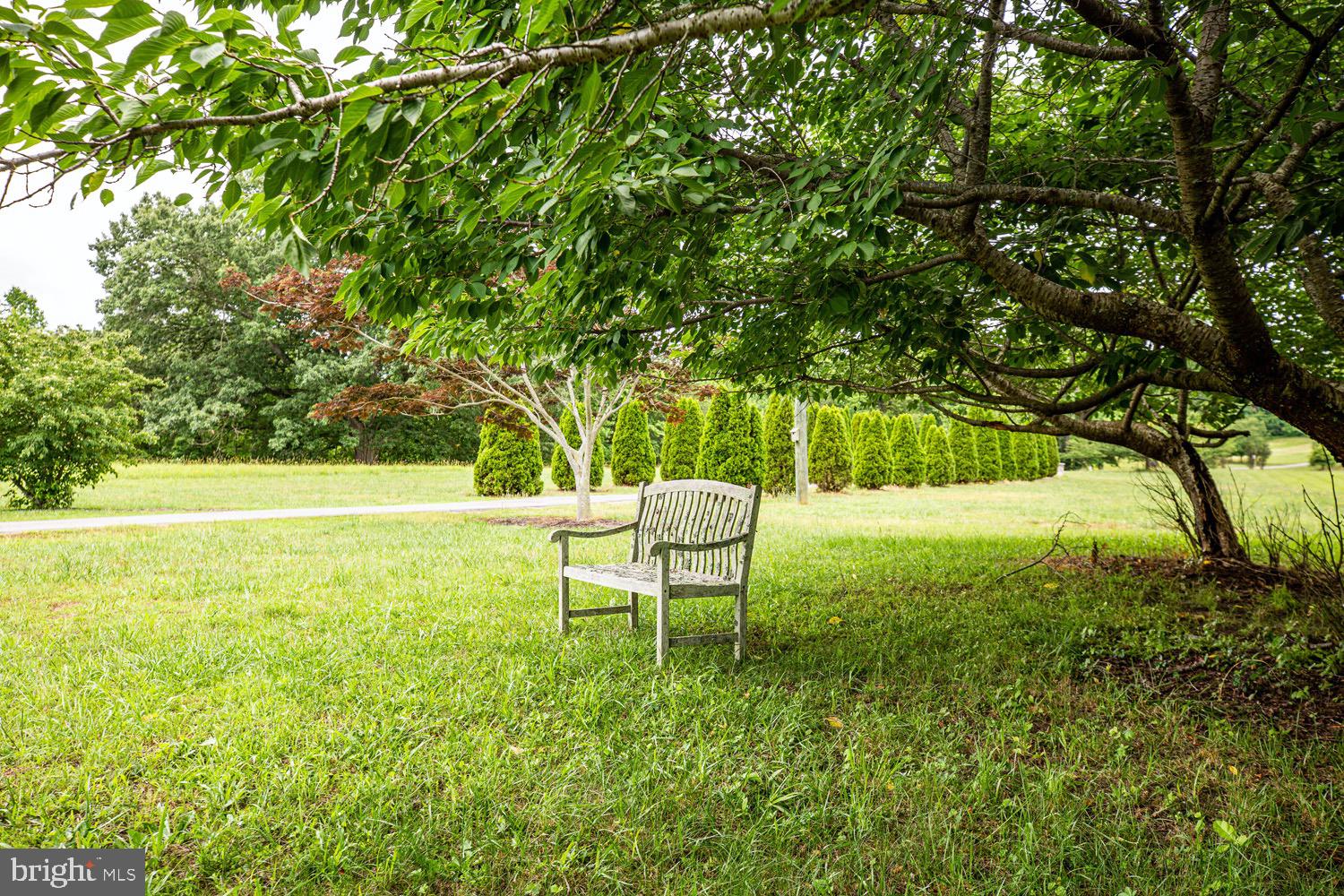 16085 Little Ferry Road King George, VA 22485 - Photo 68 of 72 So peaceful
