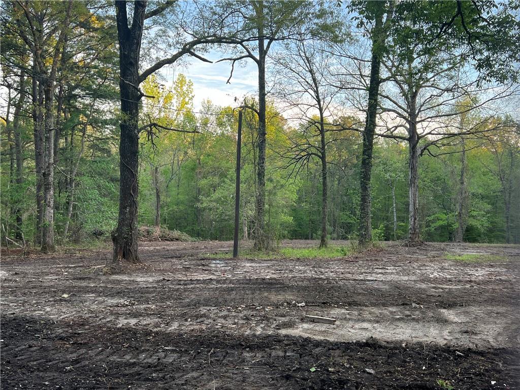 143 Montgomery Road Pollock, LA 71467 - Photo 1 of 23 Gallery Image 1