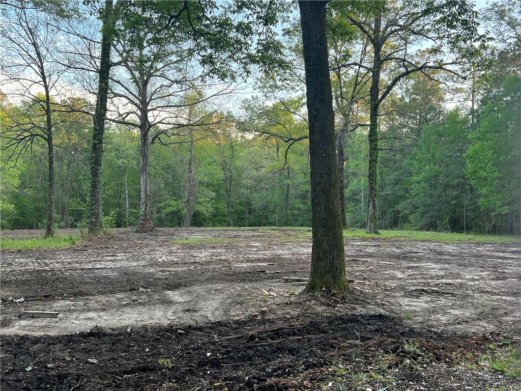 143 Montgomery Road Pollock, LA 71467 - Photo 11 of 23 Gallery Image 11