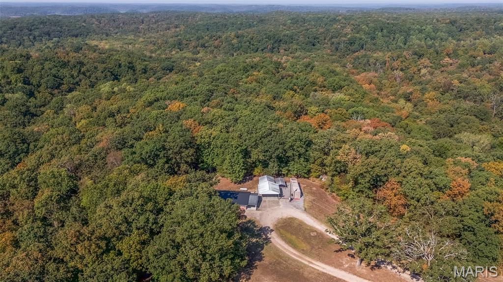 18357 Wayne Rte D Wappapello, MO 63966 - Photo 30 of 35