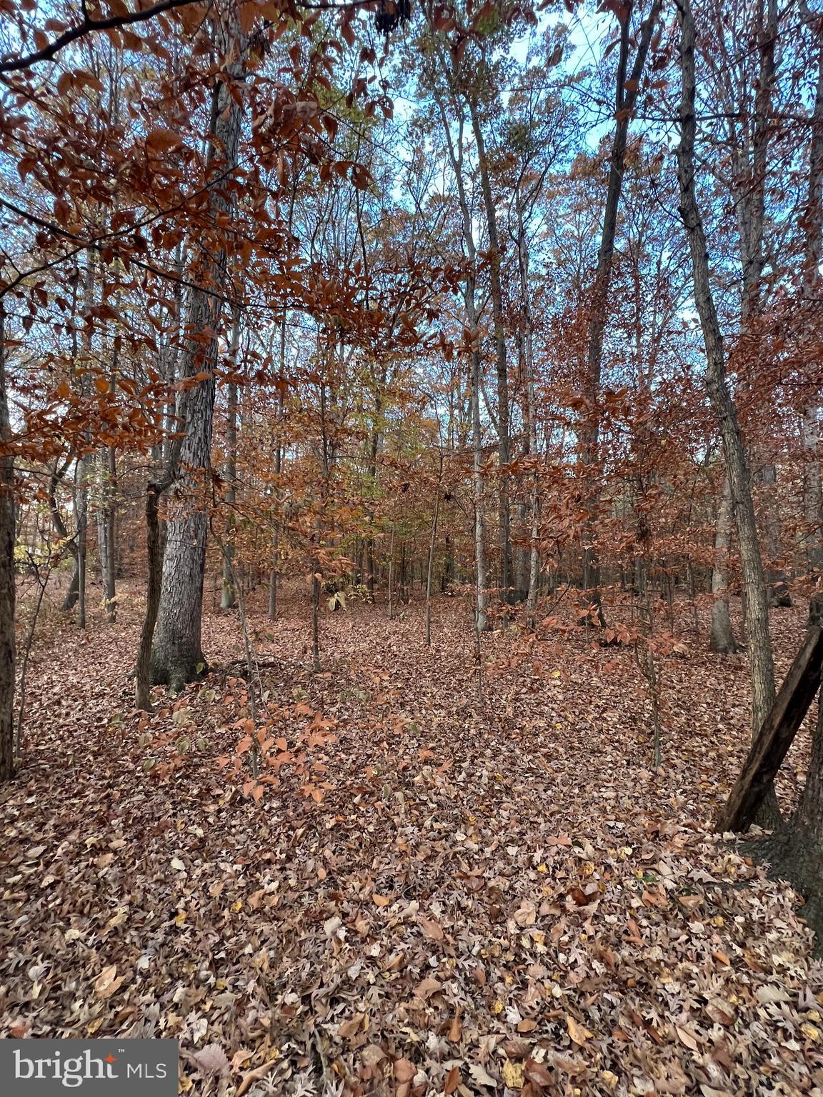 John Brown Road Queenstown, MD 21658 - Photo 2 of 7