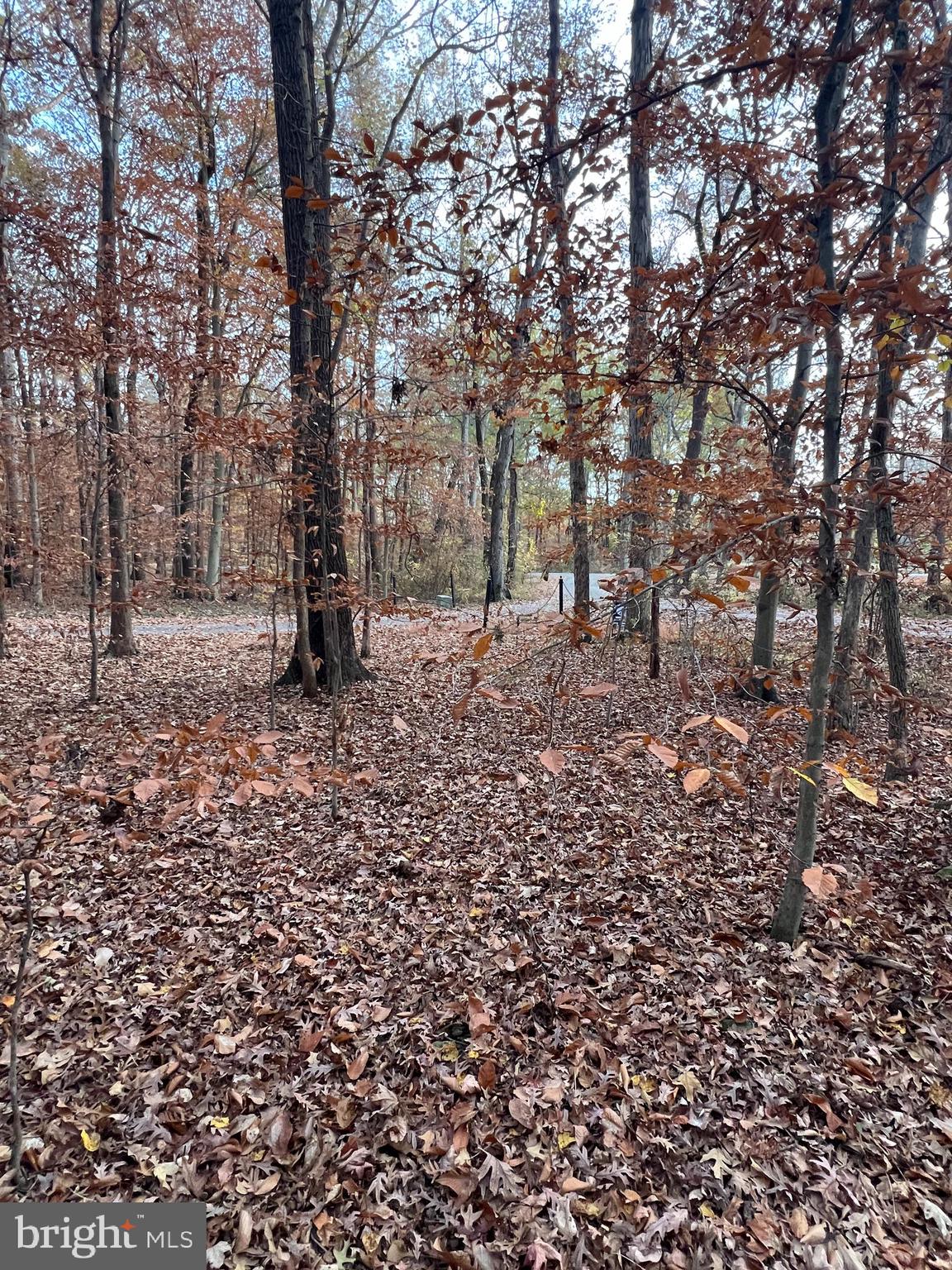 John Brown Road Queenstown, MD 21658 - Photo 5 of 7