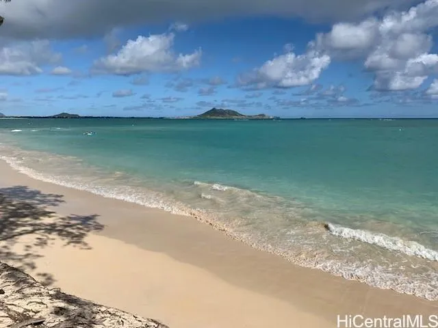 a view of a lake from a yard