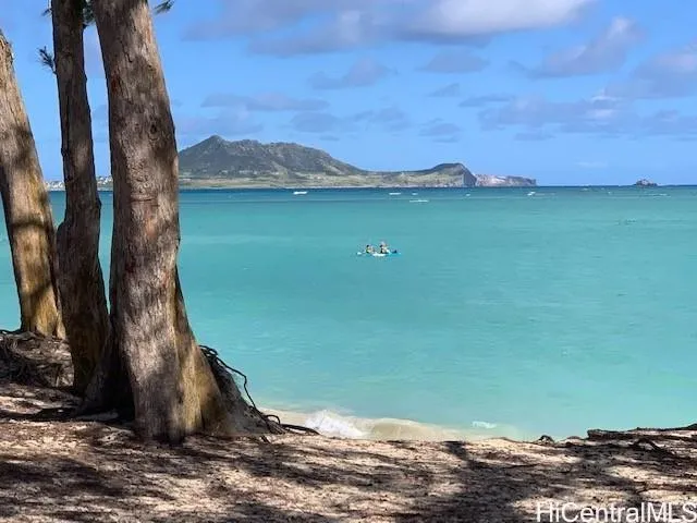 a view of a lake with a mountain in the background