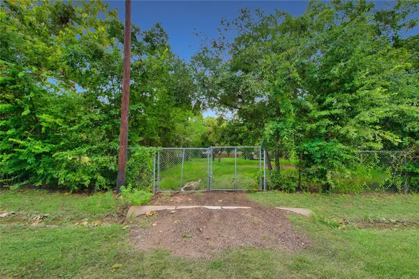 a view of a trees with a yard