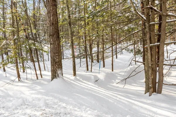 $265,000 | 2 Kendall Hill Road, Unit 5562, Mont Vernon, NH 03057