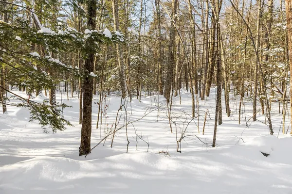 $265,000 | 2 Kendall Hill Road, Unit 5562, Mont Vernon, NH 03057