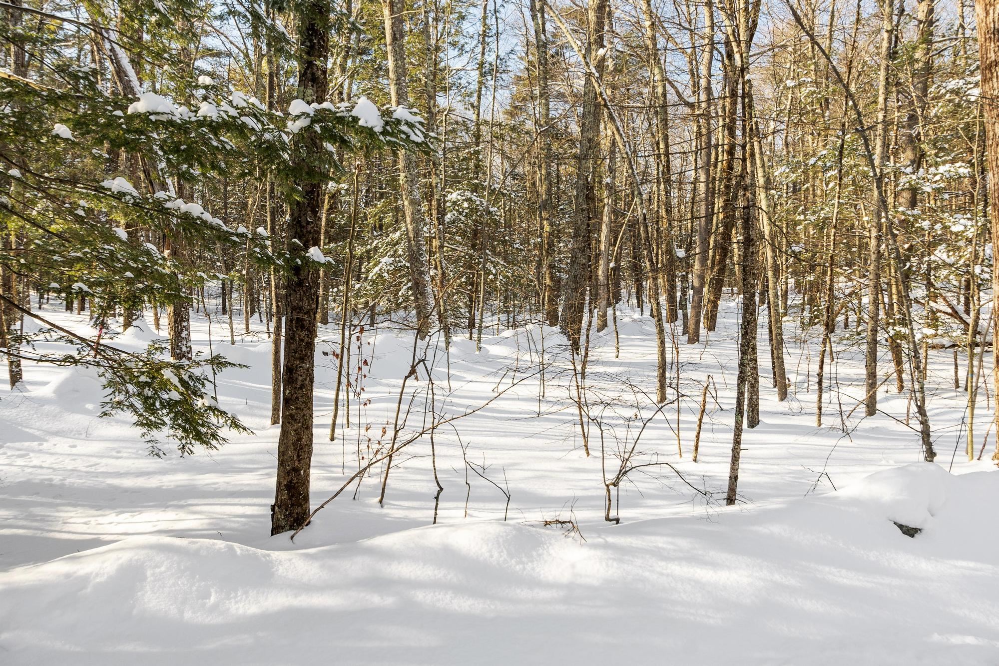 2 Kendall Hill Road, Unit 5562 Mont Vernon, NH 03057 - Photo 2 of 22