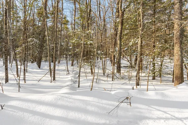 $265,000 | 2 Kendall Hill Road, Unit 5562, Mont Vernon, NH 03057
