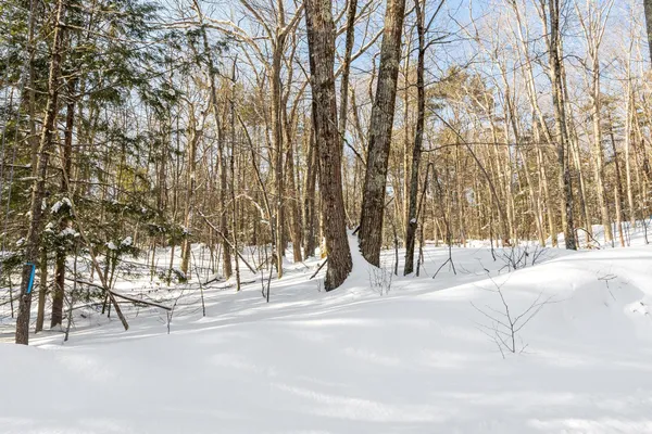 $265,000 | 2 Kendall Hill Road, Unit 5562, Mont Vernon, NH 03057