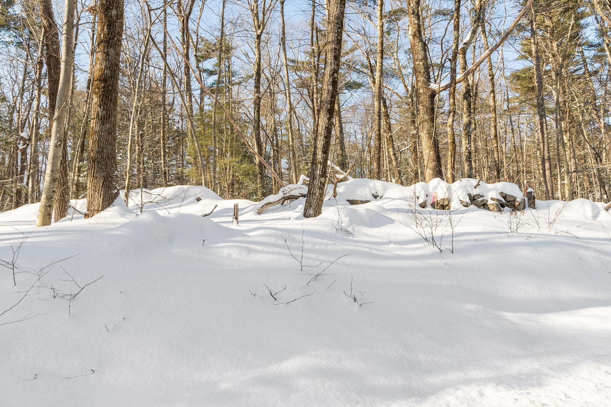 2 Kendall Hill Road, Unit 5562 Mont Vernon, NH 03057 - Photo 5 of 22
