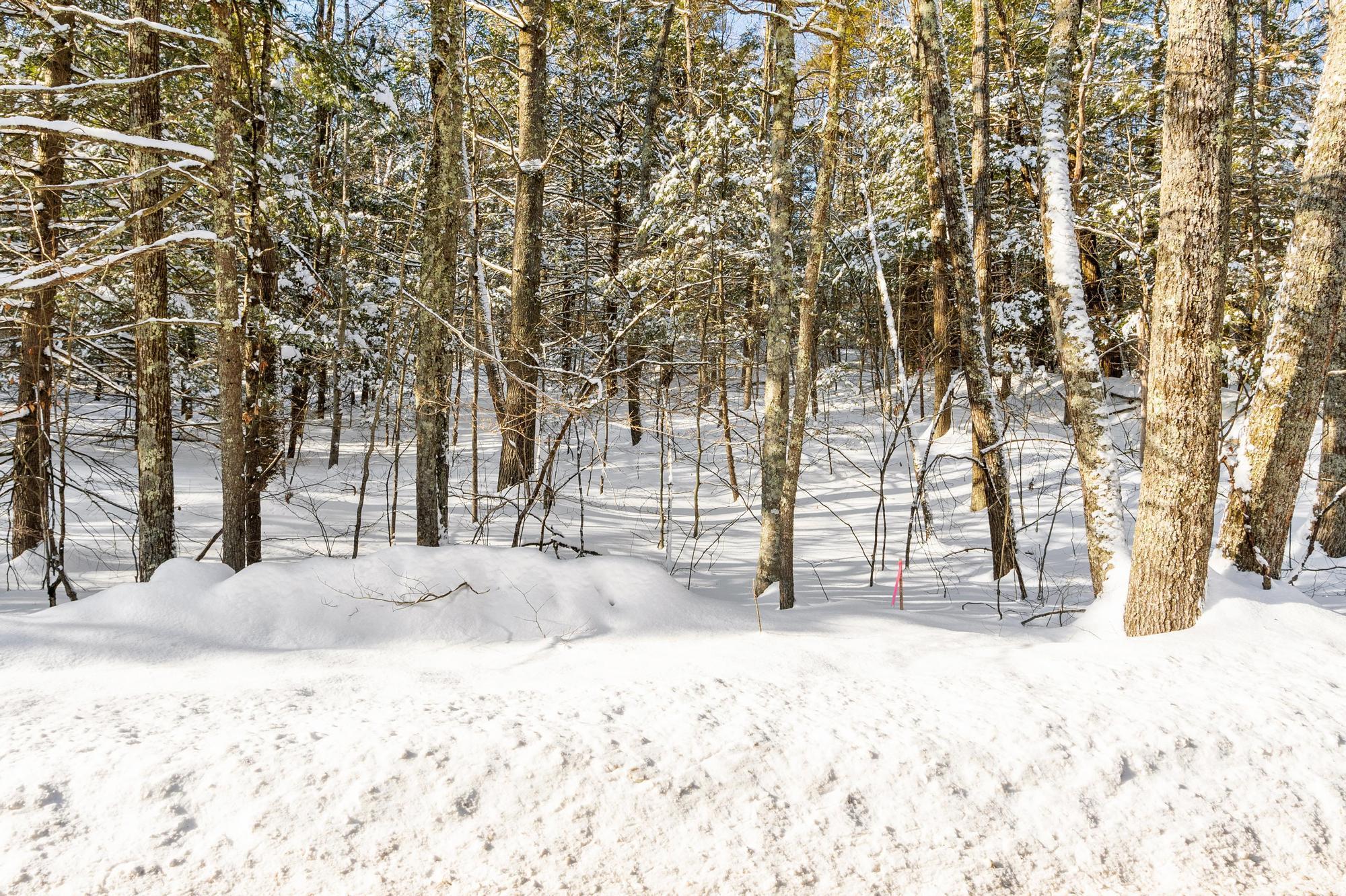 2 Kendall Hill Road, Unit 5562 Mont Vernon, NH 03057 - Photo 6 of 22