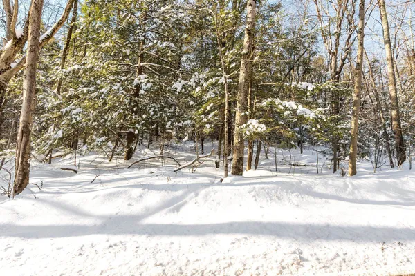 $265,000 | 2 Kendall Hill Road, Unit 5562, Mont Vernon, NH 03057
