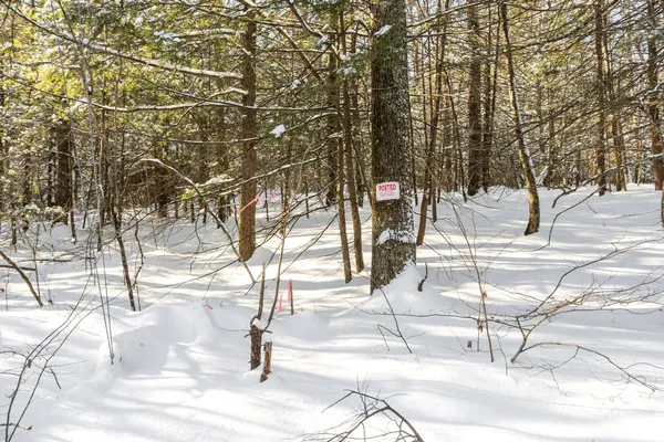 $265,000 | 2 Kendall Hill Road, Unit 5562, Mont Vernon, NH 03057