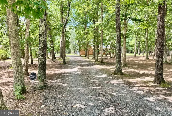 a view of road with trees