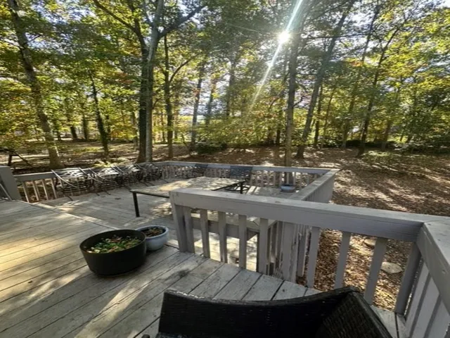 a view of a forest with trees in the background