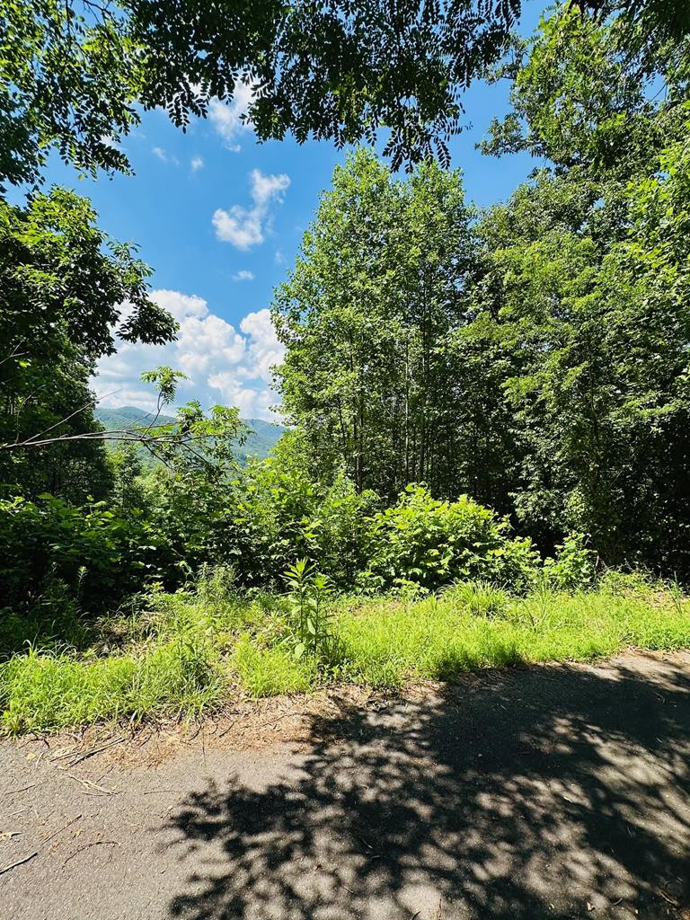 Lot 13 View Ridge Trail Murphy, NC 28906 - Photo 9 of 11