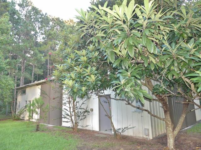 8465 Chisolm Plantation Road Edisto Island, SC 29438 - Photo 2 of 35 2A