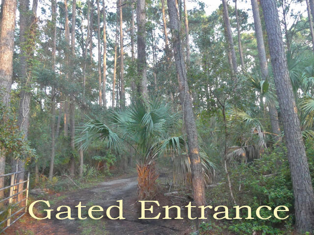 8465 Chisolm Plantation Road Edisto Island, SC 29438 - Photo 3 of 35 2AA
