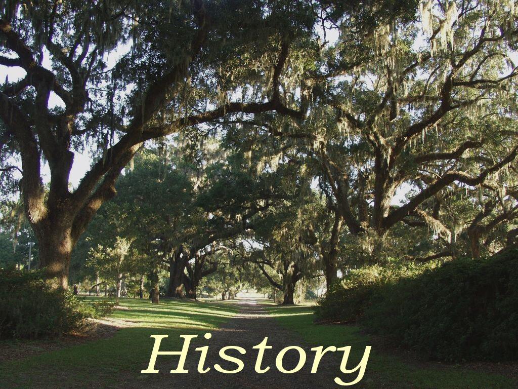 8465 Chisolm Plantation Road Edisto Island, SC 29438 - Photo 27 of 35 20