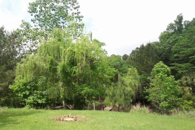 8465 Chisolm Plantation Road Edisto Island, SC 29438 - Photo 4 of 35 3A