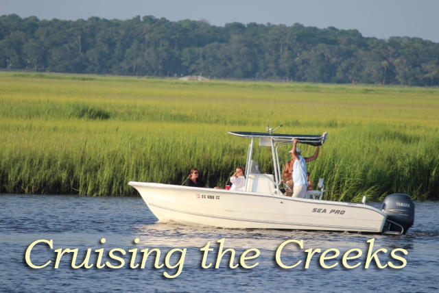 8465 Chisolm Plantation Road Edisto Island, SC 29438 - Photo 31 of 35 24