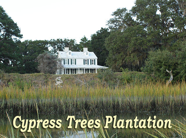 8465 Chisolm Plantation Road Edisto Island, SC 29438 - Photo 32 of 35 25
