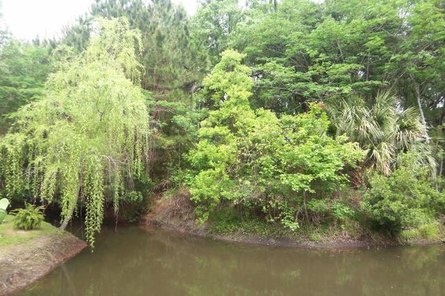8465 Chisolm Plantation Road Edisto Island, SC 29438 - Photo 7 of 35 3D