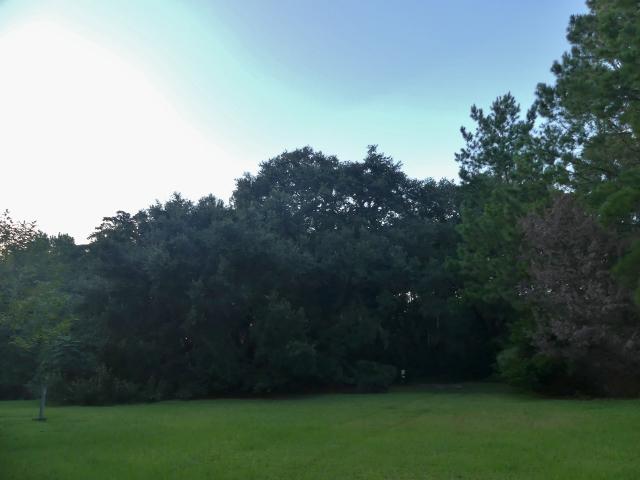8465 Chisolm Plantation Road Edisto Island, SC 29438 - Photo 8 of 35 3E