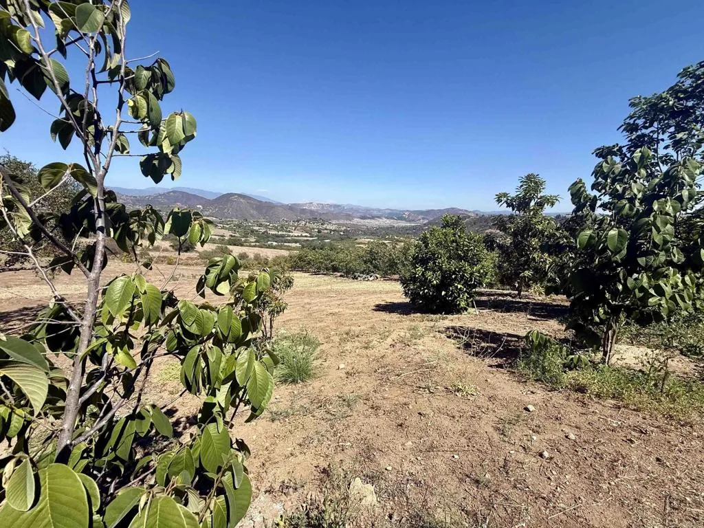 Hawks View Fallbrook, CA 92028 - Photo 23 of 36