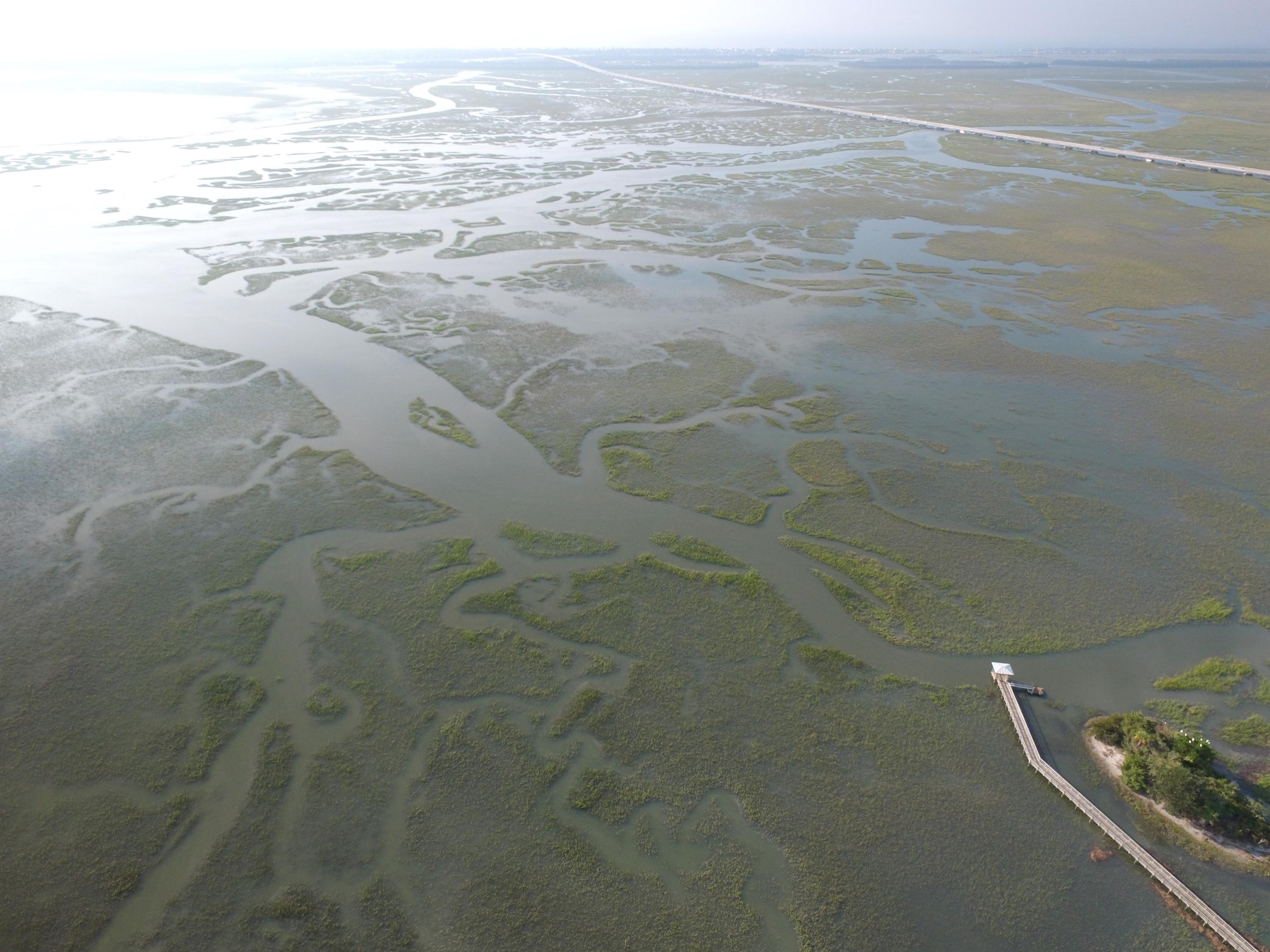 1659 Red Tide Road Mount Pleasant, SC 29466 - Photo 77 of 77 DJI_0097