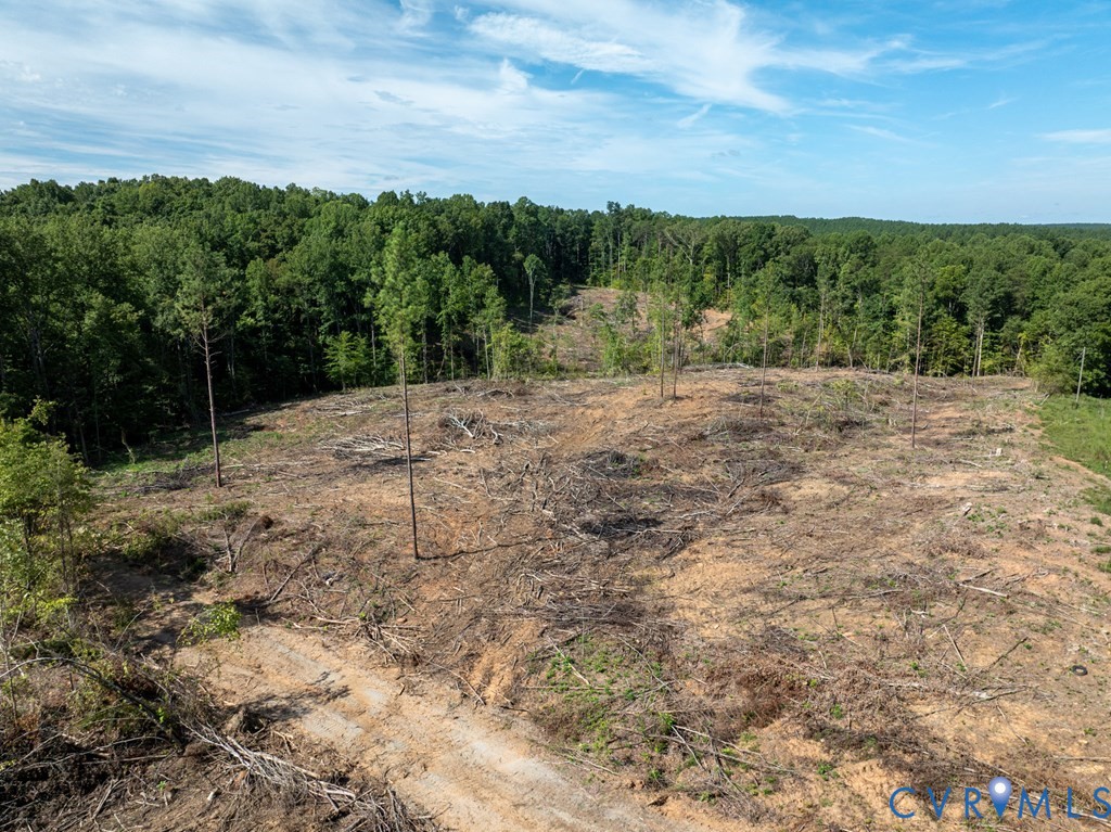 648 Hardtimes Road Farmville, VA 23901 - Photo 11 of 35 a view of a dry yard with trees