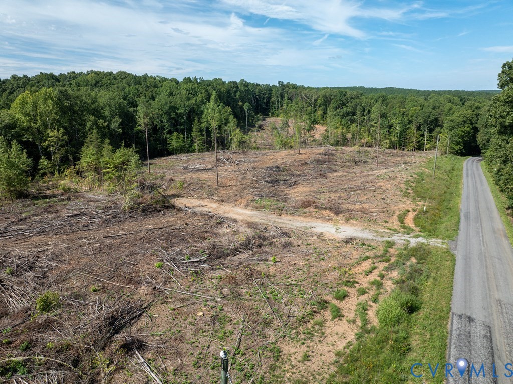 648 Hardtimes Road Farmville, VA 23901 - Photo 12 of 35 a view of a yard with a tree