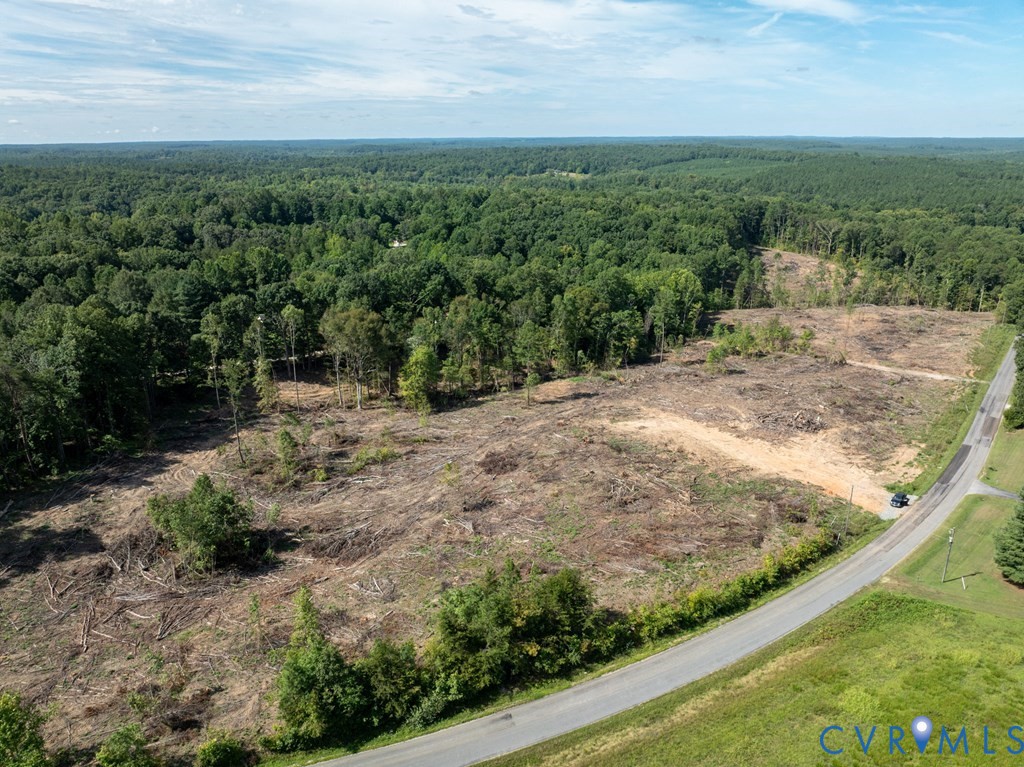 648 Hardtimes Road Farmville, VA 23901 - Photo 13 of 35 a view of a backyard with green space