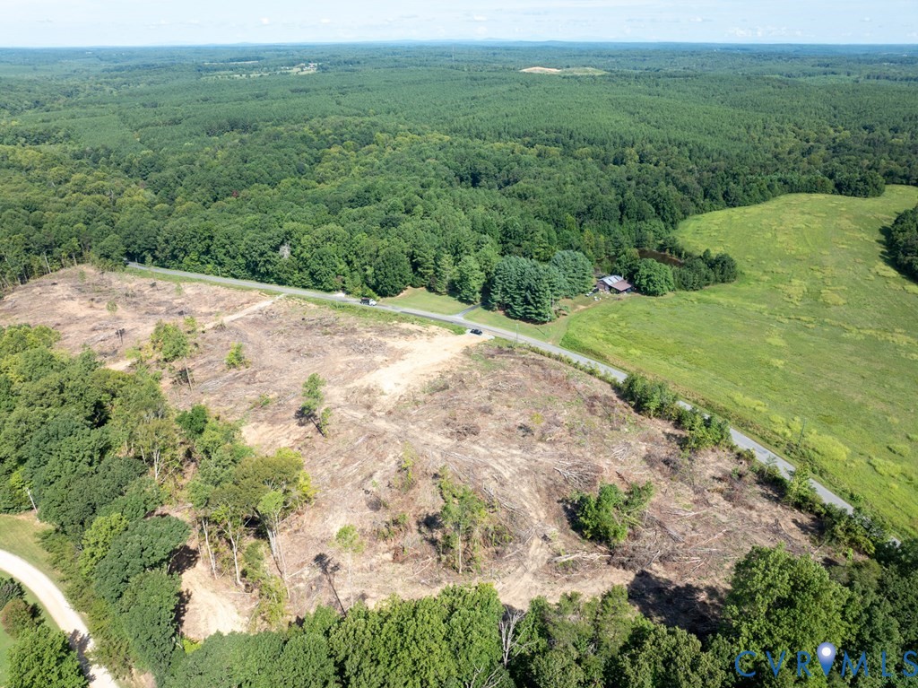 648 Hardtimes Road Farmville, VA 23901 - Photo 18 of 35 a view of a yard with a tree
