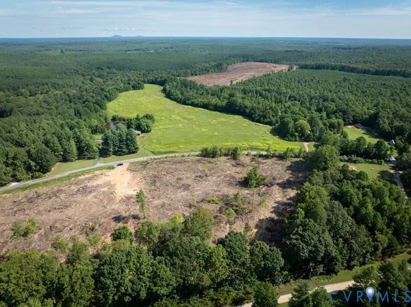 a view of a dry yard with large trees