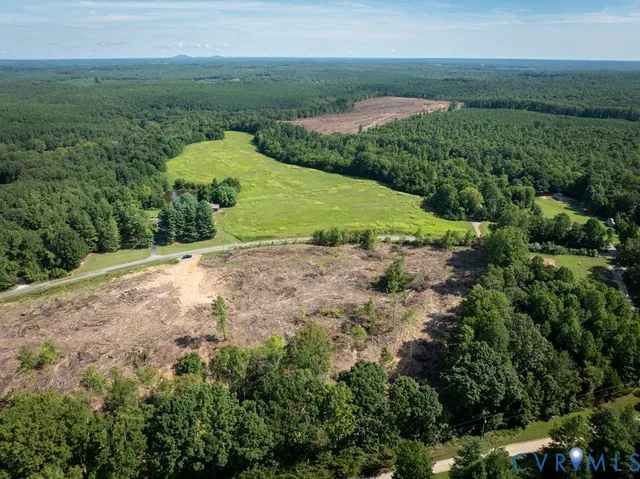 a view of a dry yard with large trees