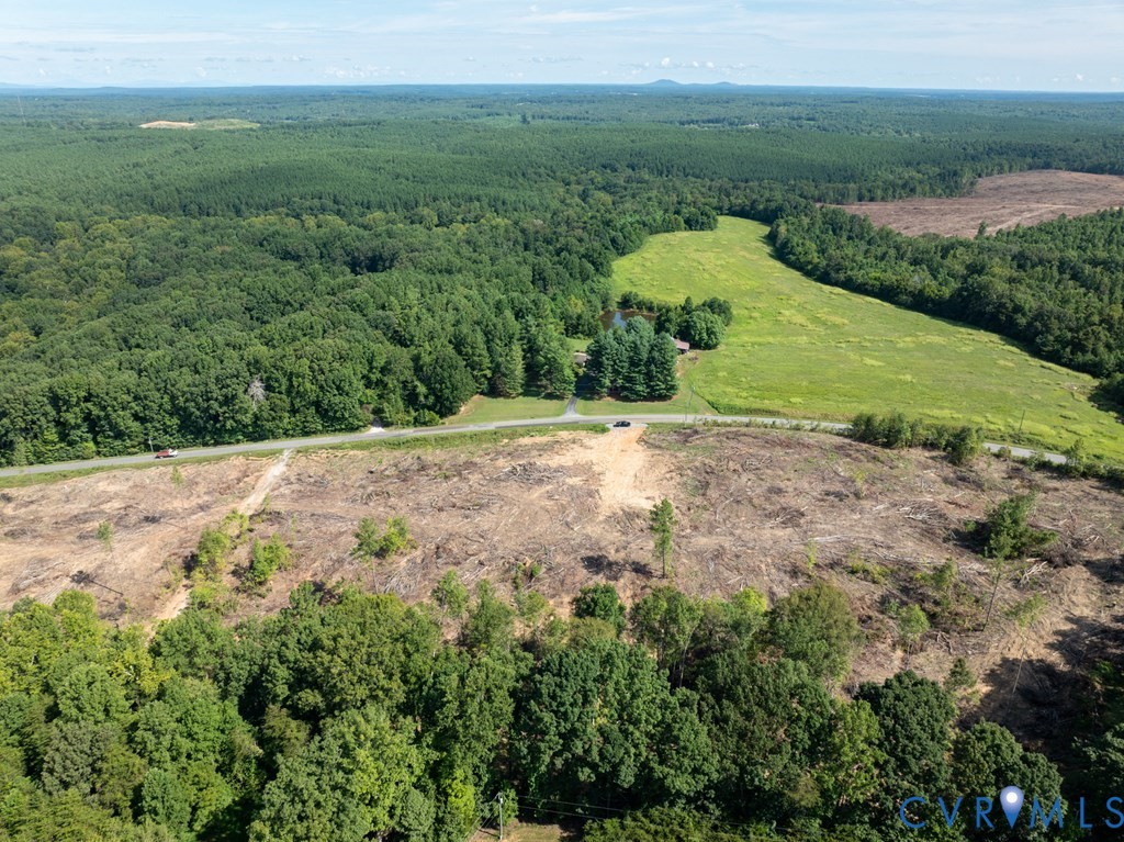 648 Hardtimes Road Farmville, VA 23901 - Photo 20 of 35 a view of a dry yard with large trees