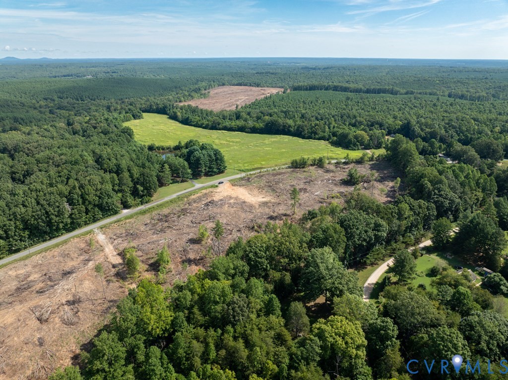 648 Hardtimes Road Farmville, VA 23901 - Photo 21 of 35 an aerial view of green landscape with trees houses and lake view