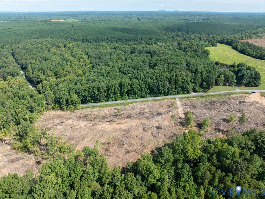 648 Hardtimes Road Farmville, VA 23901 - Photo 22 of 35 a view of a yard with a tree