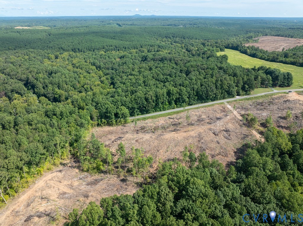 648 Hardtimes Road Farmville, VA 23901 - Photo 24 of 35 a view of a dry yard with green space