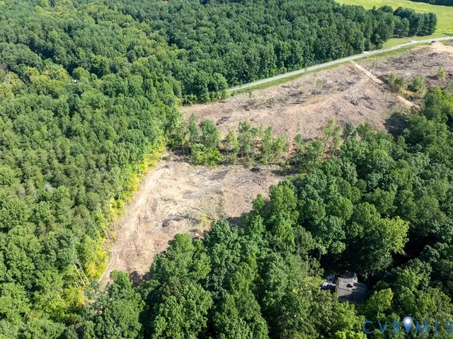an aerial view of greenery