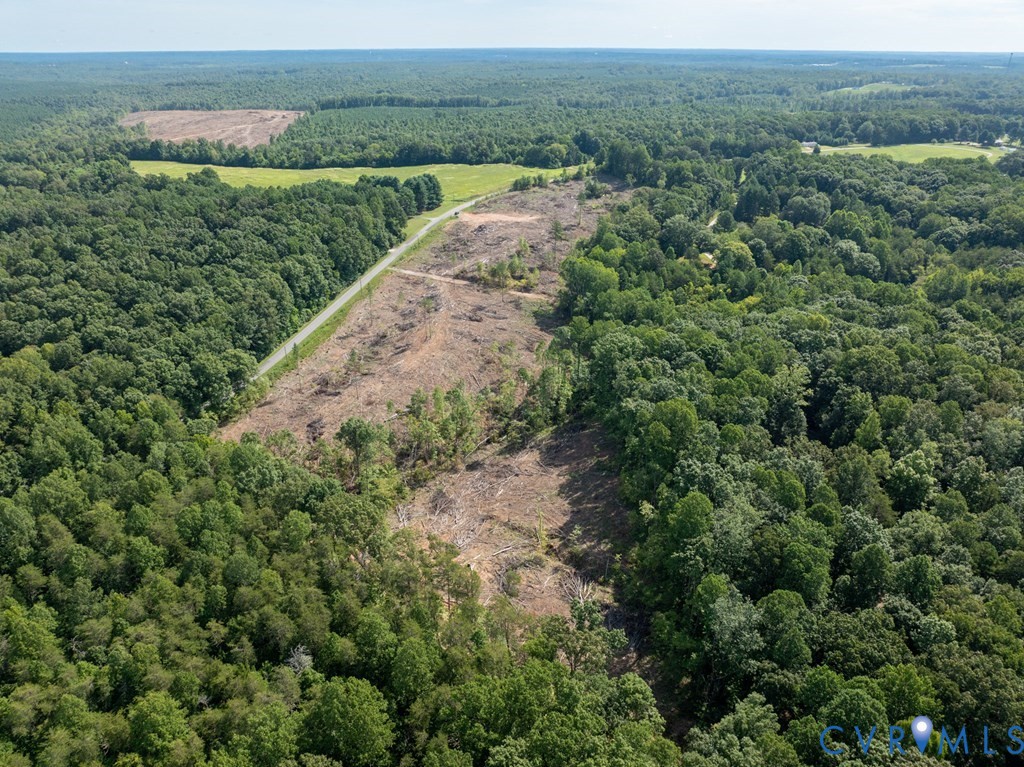 648 Hardtimes Road Farmville, VA 23901 - Photo 26 of 35 an aerial view of greenery