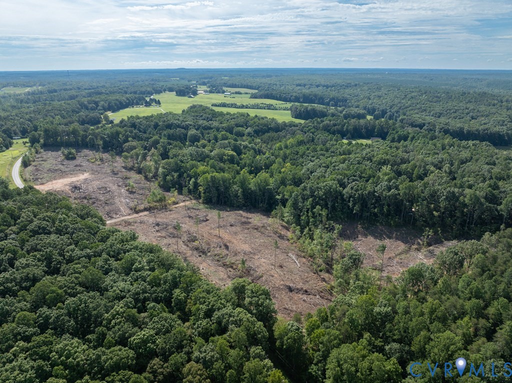 648 Hardtimes Road Farmville, VA 23901 - Photo 29 of 35 a view of a lush green forest with lots of trees